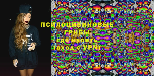 дурь Вяземский