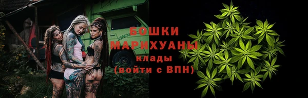 стаф Володарск
