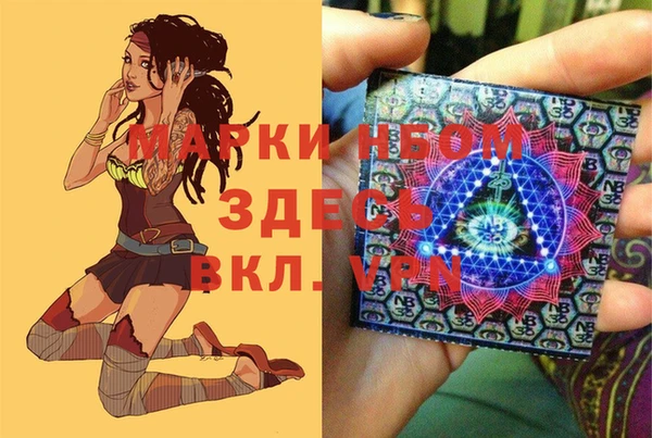 дурь Вяземский