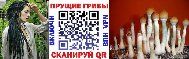Галлюциногенные грибы Magic Shrooms  Владимир 